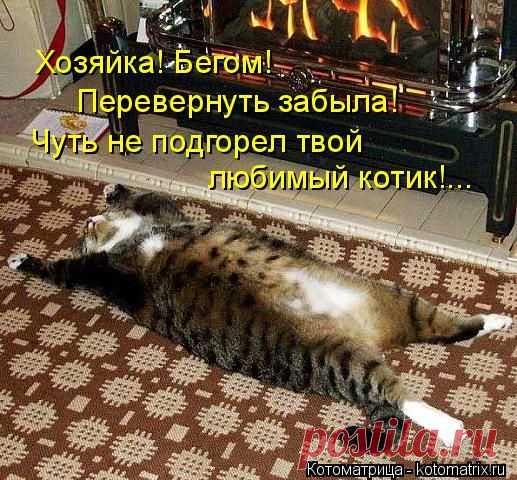 Котоматрица: Круть