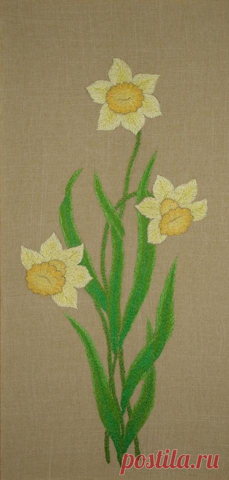 Яндекс.Фотки