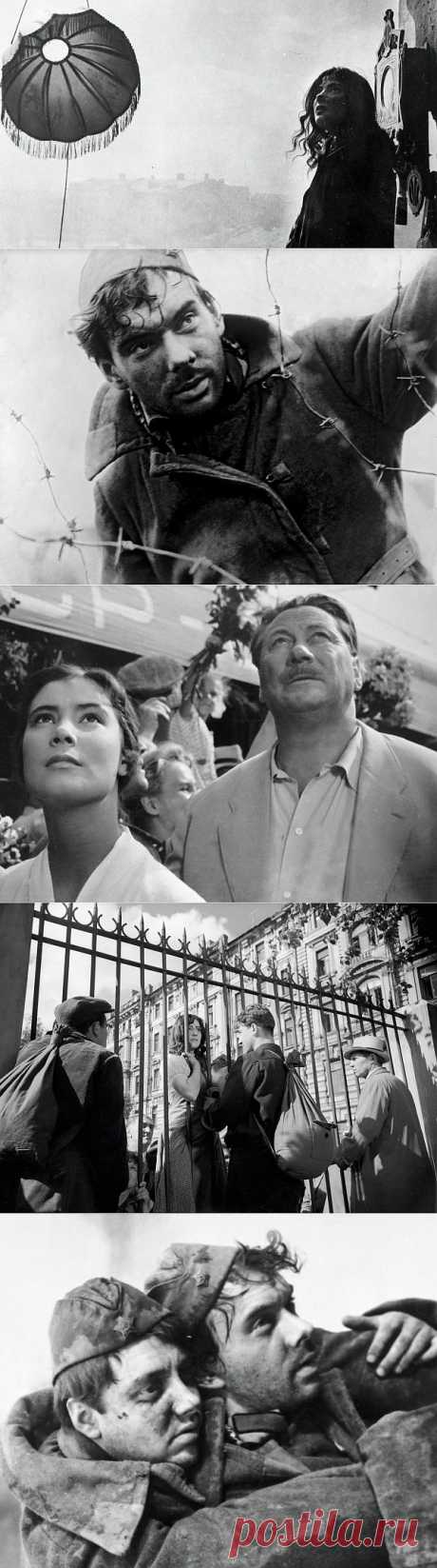 &quot;Летят журавли&quot; 55 лет спустя | Кино | Weekend РИА Новости