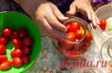 Как я храню помидоры зимой без морозилки — Рамблер/женский