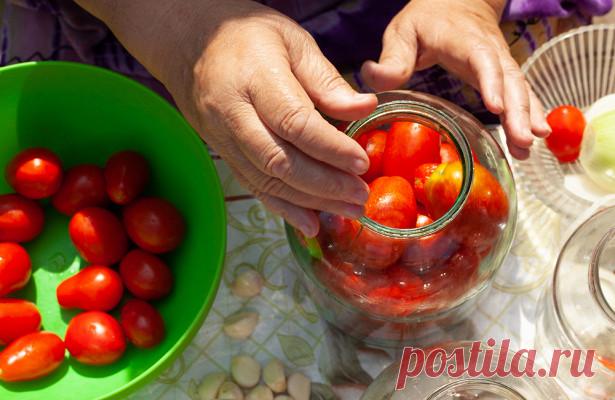 Как я храню помидоры зимой без морозилки — Рамблер/женский