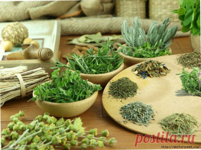 Без заголовка