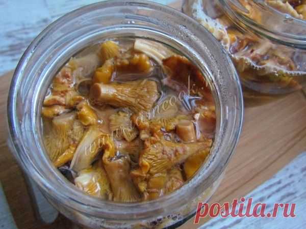 Маринованные лисички на зиму, рецепт с фото. Как заготовить грибы лисички на зиму?