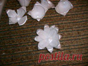 Кувшинки для дачи из ячеек под яйца