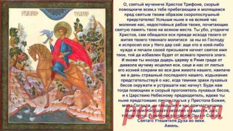 Молитвы к Святому Трифону о материальном благополучие, и о помощи в поиске работы : " Святой мученик Трифон, быстрый наш помощник, будь мне помощником и защитником от бесов лукавых и предводителем к Царствию Небесному. Умоли Господа, да подарит мне он радость от работы моей, да пребудет он всегда рядом  со мною и задуманное исполнит. Аминь."