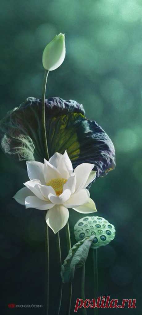 Pinterest