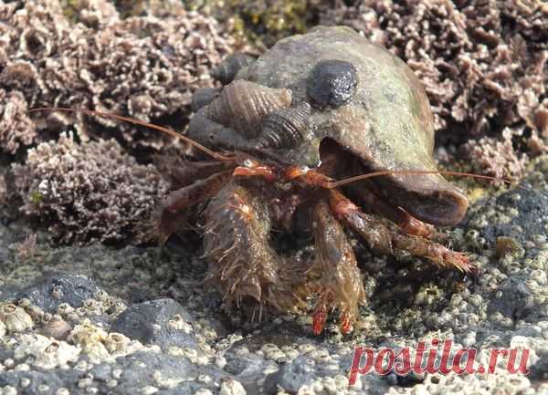 Фотографии Наталья Ляхова | 1303 фото