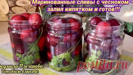 Маринованные сливы с чесноком - вкусные заготовки на зиму. Сделала сначала несколько баночек, а когда попробовала, сделала ещё 20 банок | Людмила Плеханова Готовим вместе. Еда | Дзен