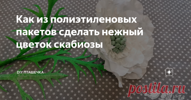 Как из полиэтиленовых пакетов сделать нежный цветок скабиозы