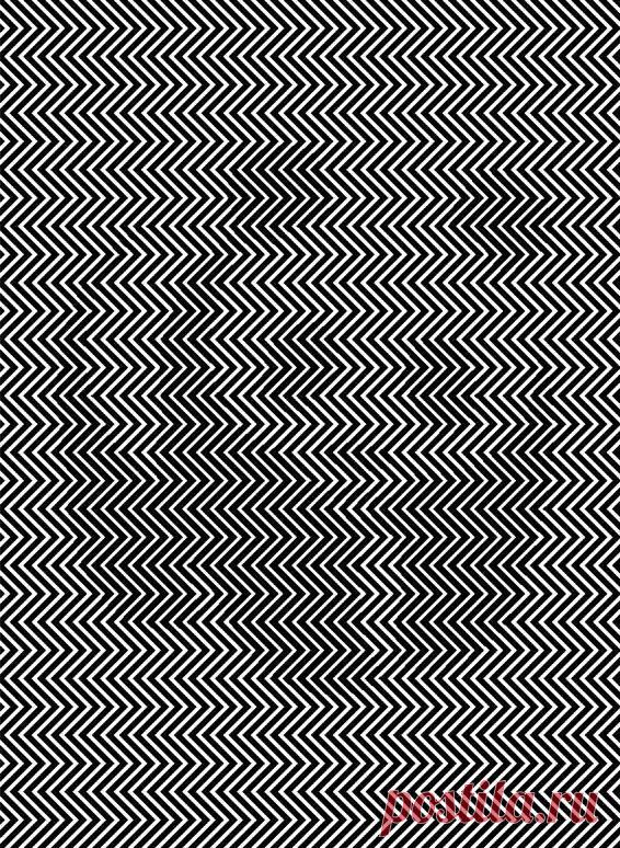 Ученые утверждают, что только 1 из 10 людей способен увидеть скрытое изображение! Сможете ли Вы?