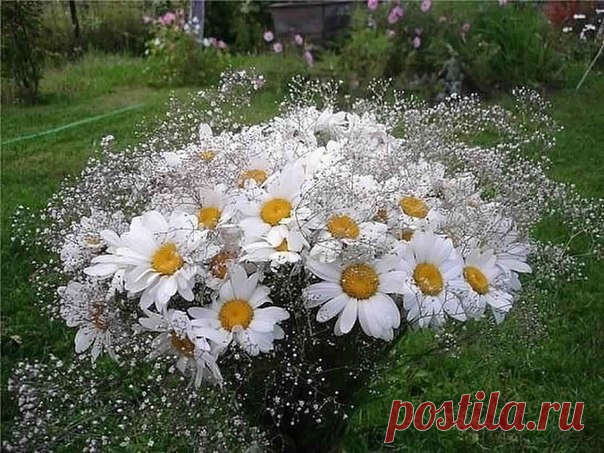 Пятница ура!!😊
