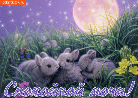 Красивые картинки спокойной ночи | Открытки бесплатно