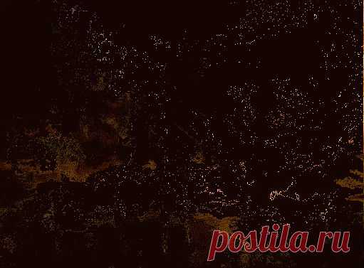 Анимации Люди и животные, Анимации девушка на лошади