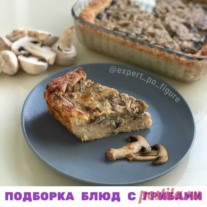 ПОДБОРКА БЛЮД С ГРИБАМИ
 Все мы любим грибочки. Грибы не только придают пикантный вкус блюду. Они относятся к растительным продуктам, которые содержат белок, что очень редко бывает в растительных продуктах.

🤗 Сегодня делюсь с вами своей подборкой вкусных рецептов с грибочками. Постаралась подобрать разнообразные блюда, чтобы вы могли радовать себя и своих близких.

 И конечно, я просчитала КБЖУ, чтобы вы могли отложить себе правильную порцию.

Грибной тарт на картофельно...