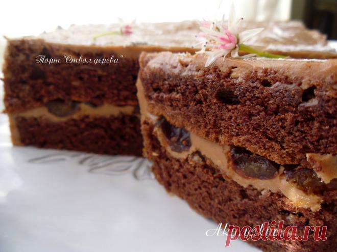 Кулинарные рецепты от Лики / Торт "Ствол дерева"