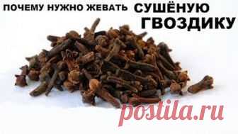 В ОБЯЗАТЕЛЬНОМ ПОРЯДКЕ ЖУЮ СУШЕНУЮ ГВОЗДИКУ! Специально зашла к врачу поблагодарить за такой дельный совет. 

Лечебные свойства гвоздики широко используются в китайской медицине. Эта душистая специя способна вылечить множество болезней благодаря уникальному составу. В гвоздике содержится провитамин А (бета-каротин), витамины группы В, витамин С, витамин Е, Омега-3 жирные кислоты, эфирное масло и различные минералы. 

Состав пряности и правда впечатляющий, все вещества рабо...