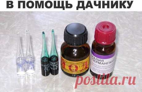 10 ПОМОЩНИКОВ ДАЧНИКА ИЗ АПТЕКИ

В начале каждого дачного сезона я обязательно заглядываю в аптеку и хозяйственный магазин. Зачем? Скажу по секрету, что самые простые средства помогают решить множества сложных садово - огородных проблем.

В аптеке были куплены дегтярное и серно-дегтярное мыло. Они хороши для добавления в отвары и настои трав против вредителей и болезней, потому что не просто обеспечивают хорошее прилипание, но еще и сами обладают свойствами отпугивать вред...