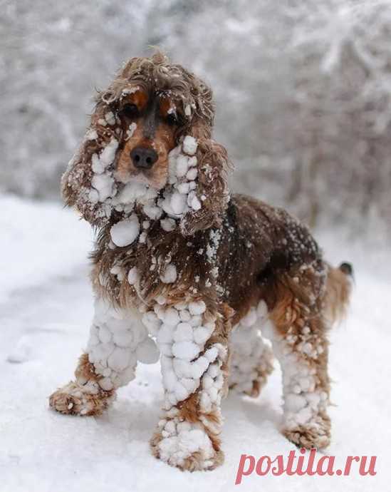 Скоро во всех дворах страны