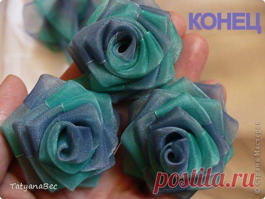 из ленты от TatyanaBec.