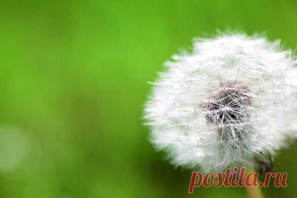 О возможностях лечения на основе нетрадиционной диагностики
Заключения нетрадиционной диагностики не рассматриваются при выработке терапевтического плана в рамках официальной, доказательной медицины. Единственная основа для ...