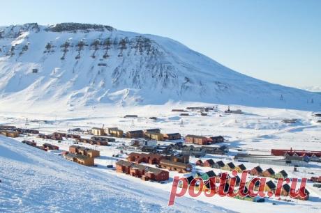 Остров, где запрещено умирать В Лонгйире на норвежском Шпицбергене официально запрещено умирать из-за вечной мерзлоты. Если кто-то серьёзно заболевает, его экстренно отправляют на материк.&nbsp;По этой же причине здесь нельзя заводить кошек, чтобы беречь редких птиц, а алкоголь продают строго по карточкам с лимитами....