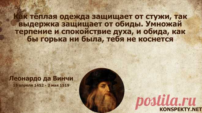 Как тёплая одежда защищает от стужи, так выдержка защищает от обиды

#KONSPEKTYNET #Цитаты #Высказывания #Афоризмы #Мудрость #Выдержка #Обида #Эмоции #Гнев #Ярость #Терпение #ЦитатыВеликих #ЛеонардоДаВинчи #ДаВинчи #ЦитатыДаВинчи