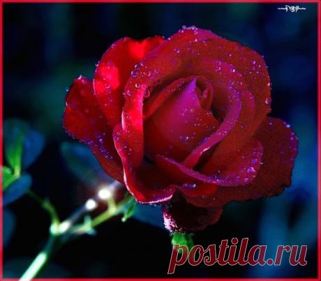 Ирина Георгиевна Я
Россия, Иди с Богом
все её фото