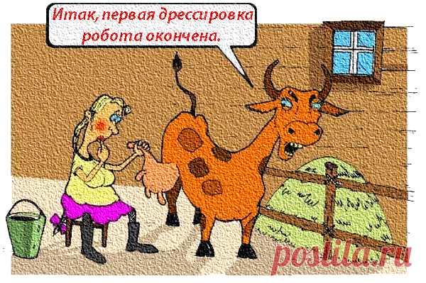 Итак, первая дрессировка робота окончена. 😉: Наш полигон
