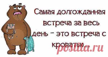 Я легко втираюсь в доверие. Я - кот.