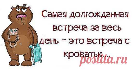 Я легко втираюсь в доверие. Я - кот.