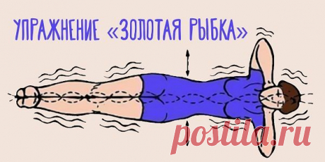 Чудо-Упражнение для позвоночника «Золотая рыбка». Избавься от боли в спине без хирургического вмешательства! Результат будет ощутим уже через несколько занятий! | Узнал сам - расскажи другому.