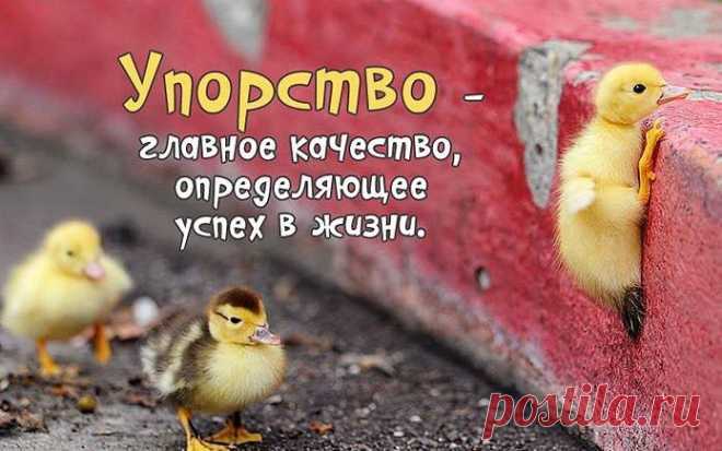 Фразы,Высказывания,Стихи,Цитаты,Видео...
Елена Станова