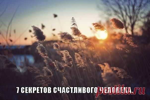 7 секретов СЧАСТЛИВОГО ЧЕЛОВЕКА.
1 - Не думать о том, что думают о тебе окружающие. - Секрет Свободы.
2 - Любая наша мысль обязательно материализуется. - Секрет Создания Нужной Вам Реальности.
3 - Полюбите и примите своё тело. - Секрет Красоты.
4 - Не осуждайте и не критикуйте себя и других. - Секрет Дружбы.
5 - Дарите Любовь и не переделывайте Любимых. - Секрет Любви.
6 - Научитесь сначала давать, а потом получать. - Секрет Богатства.
7 - Меньше думайте, больше любите и радуйтесь.