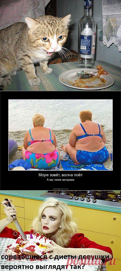 (+1) тема - про еду)) | ОБОРЖАКА ;)