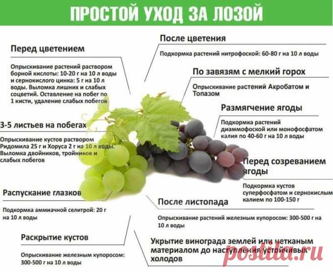 Одноклассники
