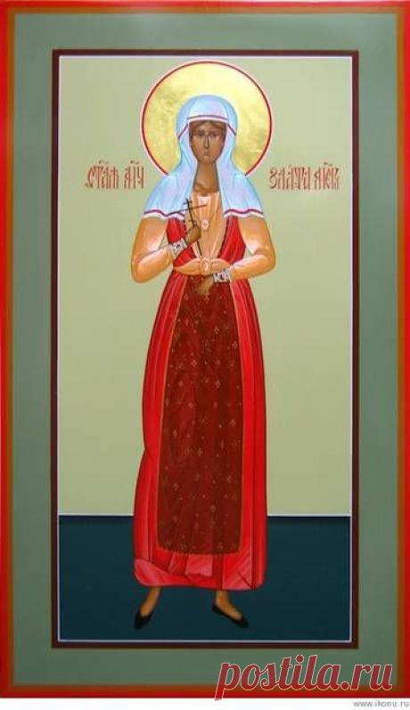 В землях Волоцкого княжества.