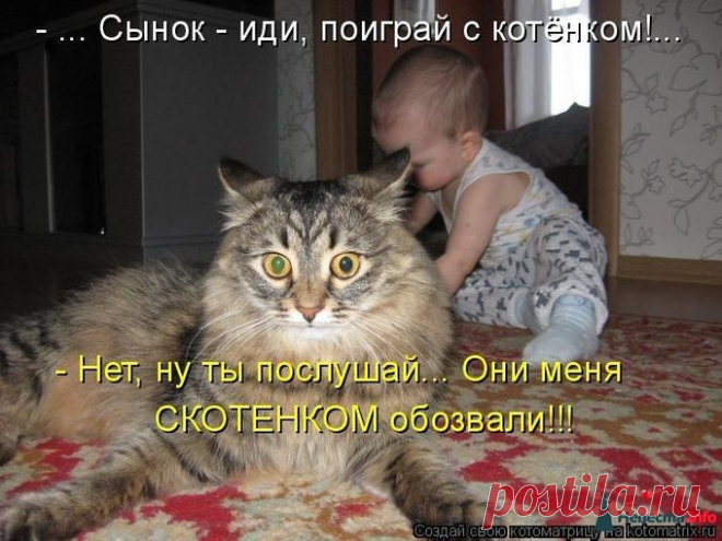 Если Вы хотите зарабатывать,сидя дома за компьютером,не отрываясь от домашнего очага,то мое предложение для Вас. Официально.Предоставляется бесплатное онлайн-обучение. Без продаж и вложений. Подходит всем. Возможно совмещение с основной работой. Требования: наличие интернета, обучаемость, желание работать.Подробно на сайте