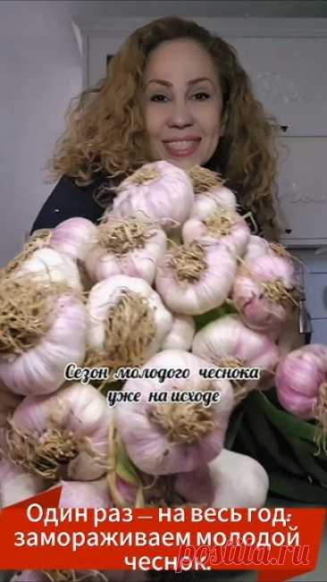 Если вы ещё не успели заморозить молодой чеснок, чтобы наслаждаться им весь год — самое время поторопиться!Для заготовки идеально подходит весенний чеснок — ...