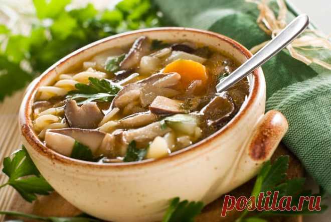 Как сварить суп из замороженных грибов: 3 рецепта Вкусные рецепты приготовления грибного супа. Как сварить суп из замороженных грибов. Пошаговые действия приготовления первого блюда. Видео.