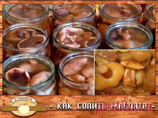 КАК СОЛИТЬ МАСЛЯТА
Продукты для засолки маслят
Маслята - 1 килограмм
Соль - 2 столовые ложки
Вода - 1 стакан
Перец горошком - 5 штук
Гвоздика - 3 штуки
Корица - 1 чайная ложка
Лист чёрной смородины - 2 штуки
1. Маслята очистить, вымыть, отделить ножки от шляпок.
2. Шляпки и ножки порезать на кусочки одинакового размера.
3. Одну кастрюлю подготовить для шляпок, вторую - для ножек.
4. В обе кастрюли налить воду, добавить соль и поставить на огонь.
5. Варить шляпки и н