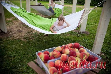 Анатолий Чеботарев