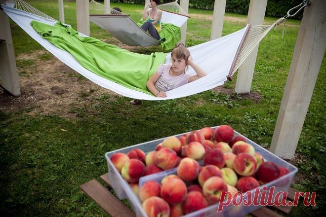 Анатолий Чеботарев