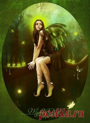 Indulgy - Everyone deserves a perfect world!