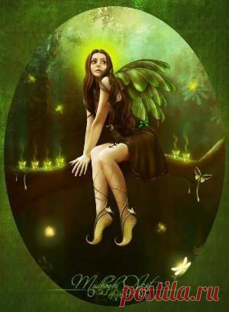 Indulgy - Everyone deserves a perfect world!