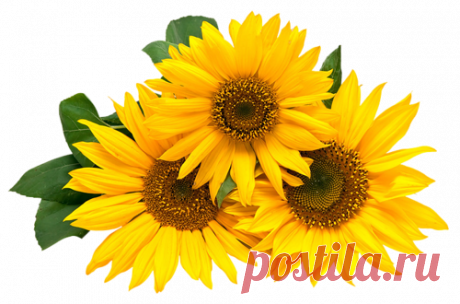 ✿ღ✿ЧЕТЫРЕ ВОЗРАСТА✿ღ✿
