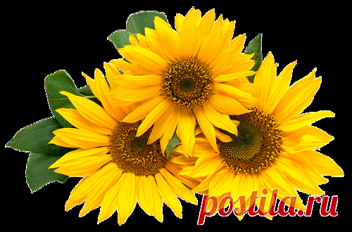 ✿ღ✿ЧЕТЫРЕ ВОЗРАСТА✿ღ✿