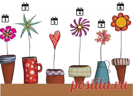 Тест: Выберите цветок, который вам больше нравится, и узнайте свой уровень нарциссизма | Скиталец | Яндекс Дзен