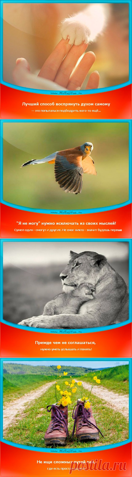 Позитивчики Недели (смотреть фото)