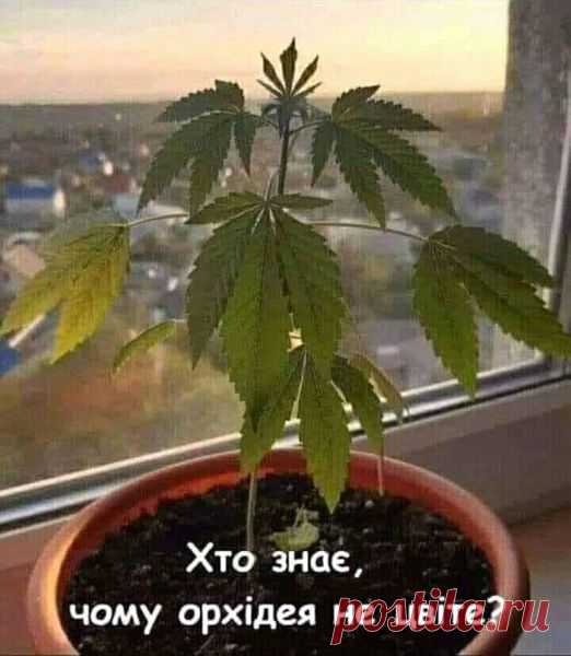 (20+) Facebook