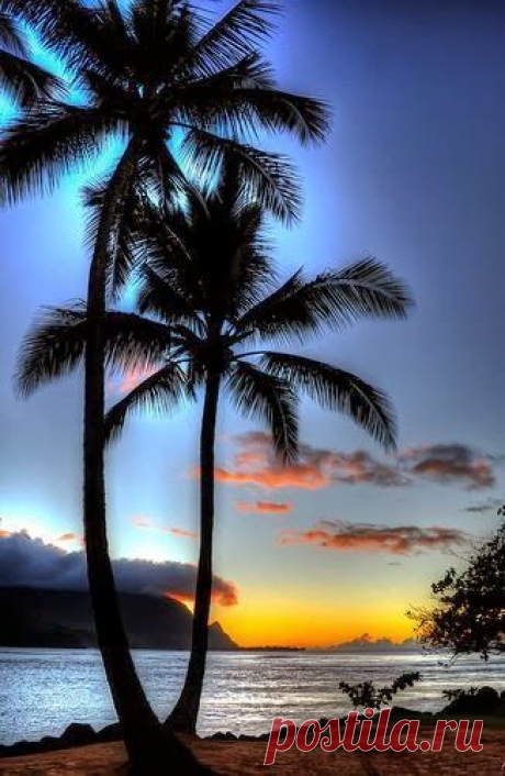 memories of palm island...starfish shooting stars :-) |  Pinterest • Всемирный каталог идей